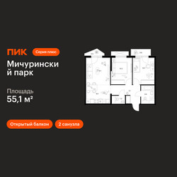 Планировка двухкомнатной(квартира) площадью 55.1 квадратных метров в ЖК “ЖК Мичуринский Парк”