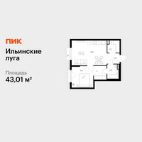 Планировка однокомнатной(квартира) площадью 43.01 квадратных метров в “ЖК Ильинские луга”