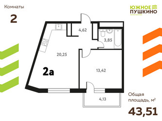 Планировка двухкомнатной(квартира) площадью 43.51 квадратных метров в ЖК “ЖК Южное Пушкино”