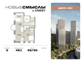 Планировка двухкомнатной(квартира) площадью 45.1 квадратных метров в “ЖК Новые смыслы”