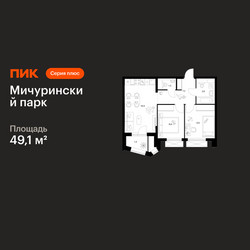 Планировка двухкомнатной(квартира) площадью 49.1 квадратных метров в ЖК “ЖК Мичуринский Парк”