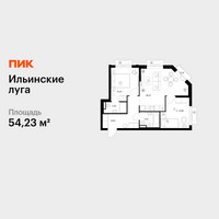 Планировка двухкомнатной(квартира) площадью 54.23 квадратных метров в “ЖК Ильинские луга”