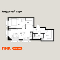 Планировка однокомнатной(квартира) площадью 52.9 квадратных метров в “ЖК Амурский парк”