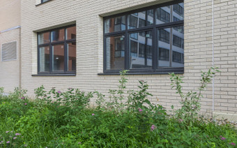 ЖК отрада фасад