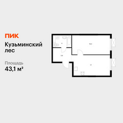 Планировка однокомнатной(квартира) площадью 43.1 квадратных метров в ЖК “ЖК Кузьминский лес”