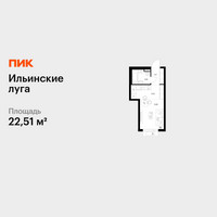 Планировка студии(квартира) площадью 22.51 квадратных метров в “ЖК Ильинские луга”