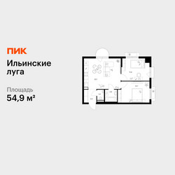 Планировка двухкомнатной(квартира) площадью 54.9 квадратных метров в ЖК “ЖК Ильинские луга”