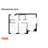 Планировка двухкомнатной(квартира) площадью 54.2 квадратных метров в “ЖК Ильинские луга”