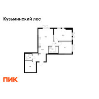 Планировка двухкомнатной(квартира) площадью 64.9 квадратных метров в “ЖК Кузьминский лес”