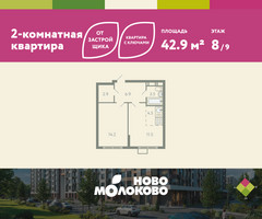 Планировка двухкомнатной(квартира) площадью 42.9 квадратных метров в “ЖК Ново-Молоково”