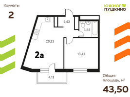 Планировка двухкомнатной(квартира) площадью 43.5 квадратных метров в “ЖК Южное Пушкино”