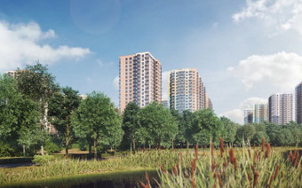 Зеленая зона