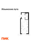 Планировка студии(квартира) площадью 23.9 квадратных метров в “ЖК Ильинские луга”