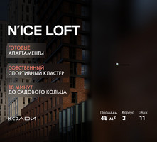 Планировка двухкомнатной(апартаменты) площадью 48 квадратных метров в “ЖК N’ICE LOFT (Найс Лофт)”