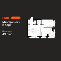 Планировка двухкомнатной(квартира) площадью 49.3 квадратных метров в “ЖК Мичуринский Парк”