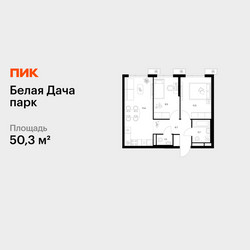 Планировка двухкомнатной(квартира) площадью 50.3 квадратных метров в ЖК “ЖК Белая Дача парк”