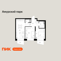 Планировка двухкомнатной(квартира) площадью 49.3 квадратных метров в “ЖК Амурский парк”
