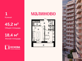 Планировка однокомнатной(квартира) площадью 45.2 квадратных метров в ЖК “ЖК Малиново”