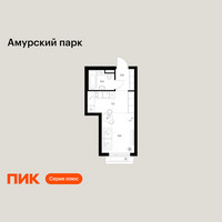 Планировка студии(квартира) площадью 23 квадратных метров в “ЖК Амурский парк”