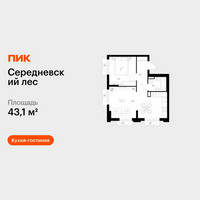 Планировка однокомнатной(квартира) площадью 43.1 квадратных метров в “ЖК Середневский лес”