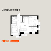 Планировка двухкомнатной(квартира) площадью 46 квадратных метров в “ЖК Саларьево парк”