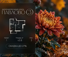 Планировка однокомнатной(квартира) площадью 43.8 квадратных метров в “Павлово 3”