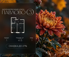 Планировка однокомнатной(квартира) площадью 41.5 квадратных метров в “Павлово 3”