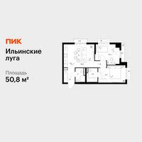 Планировка двухкомнатной(квартира) площадью 50.8 квадратных метров в “ЖК Ильинские луга”
