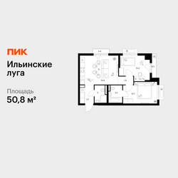 Планировка двухкомнатной(квартира) площадью 50.8 квадратных метров в ЖК “ЖК Ильинские луга”