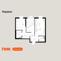 Планировка двухкомнатной(квартира) площадью 55.2 квадратных метров в “Нарвин”