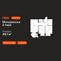 Планировка двухкомнатной(квартира) площадью 49.1 квадратных метров в “ЖК Мичуринский Парк”