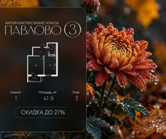 Планировка однокомнатной(квартира) площадью 41.9 квадратных метров в “Павлово 3”