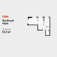 Планировка двухкомнатной(квартира) площадью 51.3 квадратных метров в “ЖК Зеленый парк”