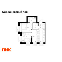 Планировка двухкомнатной(квартира) площадью 46.9 квадратных метров в “ЖК Середневский лес”