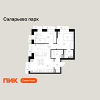 Планировка двухкомнатной(квартира) площадью 56.9 квадратных метров в “ЖК Саларьево парк”