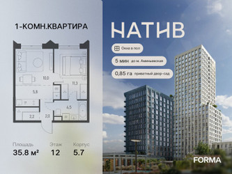 Планировка однокомнатной(квартира) площадью 35.8 квадратных метров в ЖК “ЖК Натив”