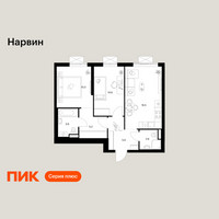 Планировка двухкомнатной(квартира) площадью 55.2 квадратных метров в “Нарвин”