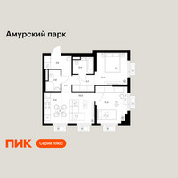 Планировка двухкомнатной(квартира) площадью 53.3 квадратных метров в “ЖК Амурский парк”