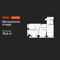 Планировка трехкомнатной(квартира) площадью 76.6 квадратных метров в “ЖК Мичуринский Парк”