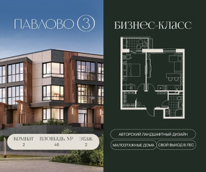 Планировка двухкомнатной(квартира) площадью 46 квадратных метров в ЖК “Павлово 3”