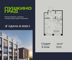 Планировка студии(квартира) площадью 30 квадратных метров в “ЖК Пушкино Град”