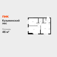 Планировка двухкомнатной(квартира) площадью 46 квадратных метров в “ЖК Кузьминский лес”