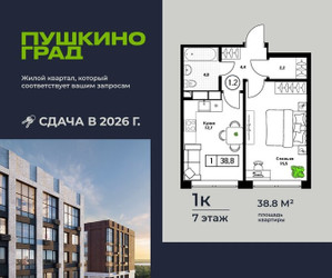Планировка однокомнатной(квартира) площадью 38.8 квадратных метров в ЖК “ЖК Пушкино Град”