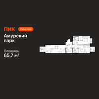 Планировка трехкомнатной(квартира) площадью 65.7 квадратных метров в “ЖК Амурский парк”