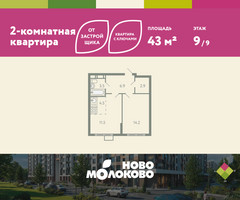 Планировка двухкомнатной(квартира) площадью 43 квадратных метров в “ЖК Ново-Молоково”