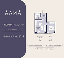 Планировка однокомнатной(квартира) площадью 43 квадратных метров в “ЖК АЛИА”