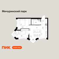Планировка двухкомнатной(квартира) площадью 49.3 квадратных метров в “ЖК Мичуринский Парк”