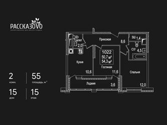 Планировка двухкомнатной(квартира) площадью 55 квадратных метров в ЖК “ЖК Рассказово”