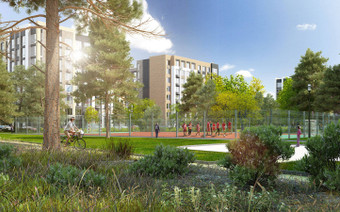 Зона озеленения