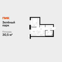 Планировка однокомнатной(квартира) площадью 30.5 квадратных метров в “ЖК Зеленый парк”